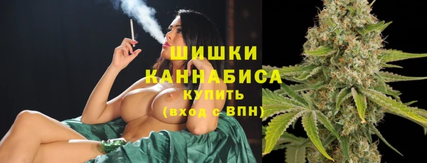 кокс Белокуриха