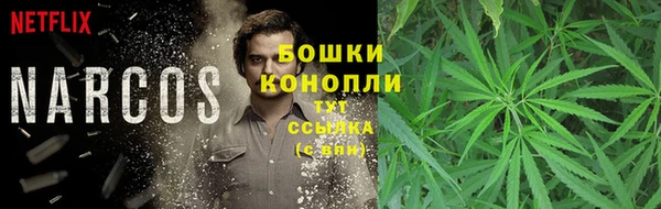 кокс Белокуриха