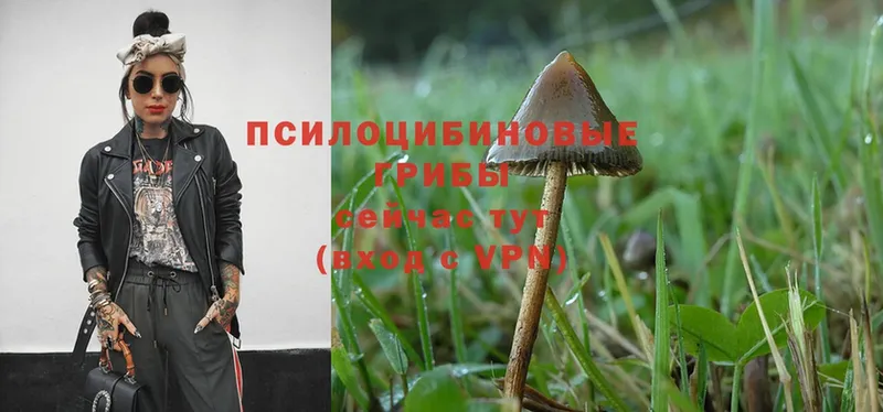 это официальный сайт  Вуктыл  Псилоцибиновые грибы Psilocybine cubensis  где продают  