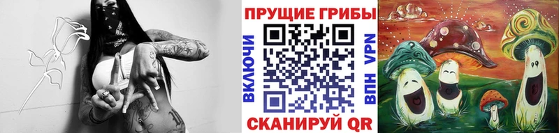 Псилоцибиновые грибы Psilocybe Вуктыл
