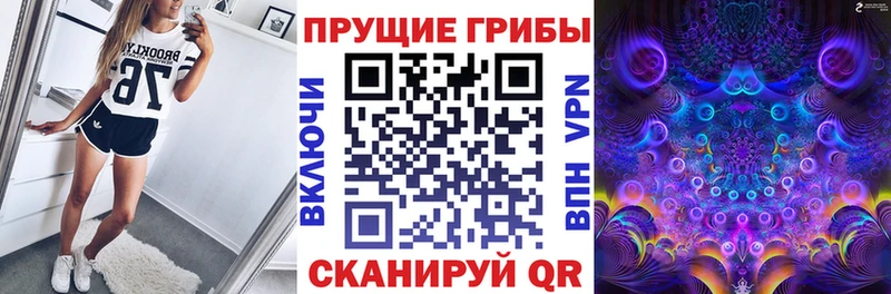 купить даркнет какой сайт Псилоцибиновые грибы мицелий Вуктыл